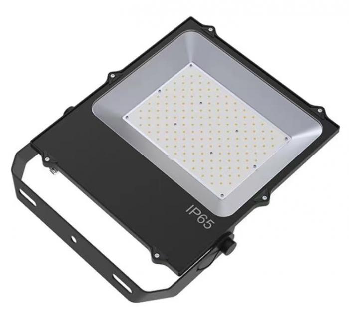 LED Flood Light