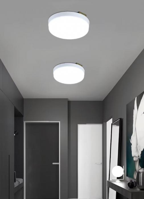 Surface Mounted Round Frameless Downlight