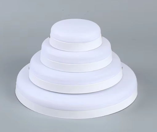 Surface Mounted Round Frameless Downlight