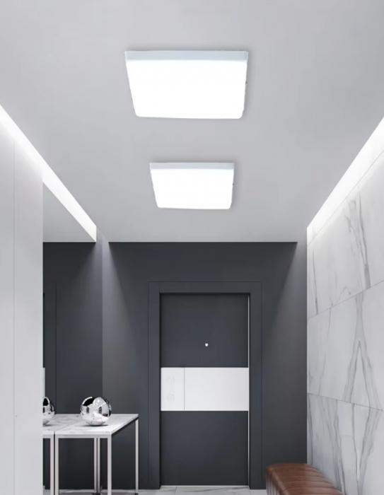 Surface Mounted Square Frameless Downlight