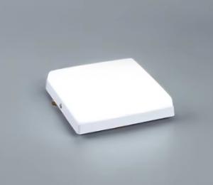 Surface Mounted Square Frameless Downlight